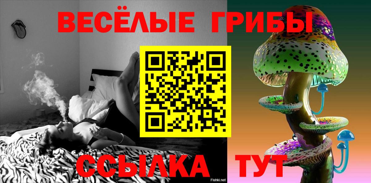 Похвистнево  Галлюциногенные грибы мицелий  Вход с VPN  Псилоцибиновые грибы прущие грибы 