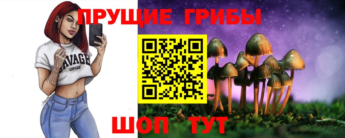Псилоцибиновые грибы GOLDEN TEACHER Похвистнево